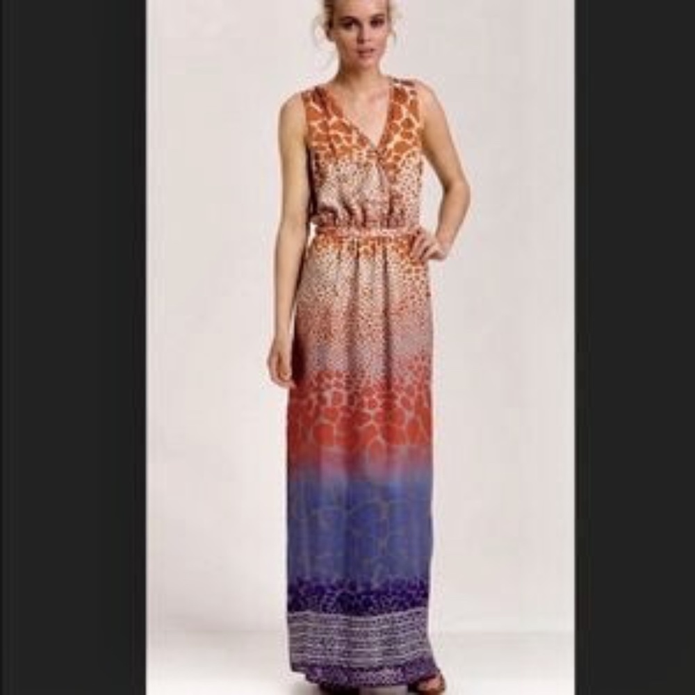 EUC Presley Skye Animal Print Silk Metallic Maxi Dress Size XXS
